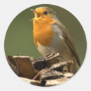 Search for singing bird stickers Tree