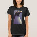 Search for wild bird Ice
