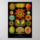 Search for zoology posters Zoologist