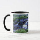 Search for wild river mugs Creek