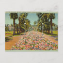 Search for beverly postcards Flowers