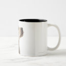 Search for labrador puppy mugs Photography