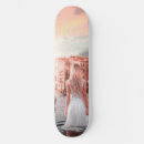 Search for venice skateboards Italy