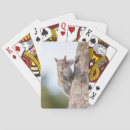 Search for funny squirrel playing cards Forest