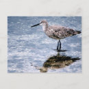Search for piper postcards Sand