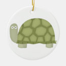 Search for turtle egg Reptile