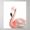 Search for tropical flamingo posters Watercolor