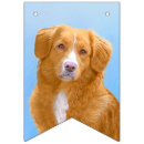 Search for duck bunting flags Dog