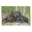 Search for labrador retriever pillowcases Black lab