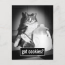 Search for from invitations Cute