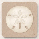 Search for seashell coasters Ocean
