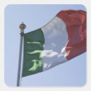 Search for green flag stickers Symbol