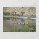 Search for the snake postcards River