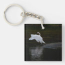 Search for swan key rings River