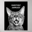Search for surprised posters Cat