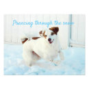 Search for prancing Blue