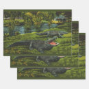 Search for reptiles wrapping paper Alligators
