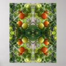 Search for tomatoes art Vegetable