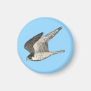 Search for hunter magnets Animals