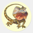 Search for necked stickers Lizard