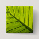 Search for veining badges Leaf