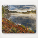 Search for jones mousepads Michigan