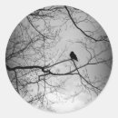 Search for bird silhouette stickers Branch