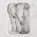Search for flat bottom Horse