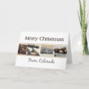 Search for colorado christmas cards Xmas
