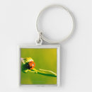 Search for ladybug key rings Focus