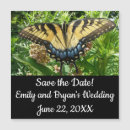 Search for swallowtail invitations Nature
