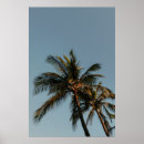 Search for tall posters Tropical