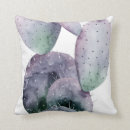 Search for cactus cushions Watercolor