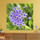 Search for peruvian lily posters For her