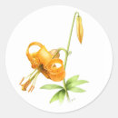 Search for tiger lily stickers Floral