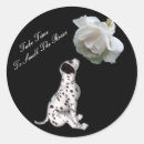 Search for smells stickers Cute