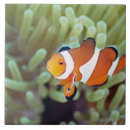 Search for four animals tiles Outdoors