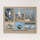 Search for tropical birds puzzles Wildlife
