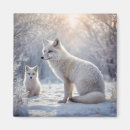 Search for fox magnets Dog