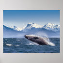 Search for breaching posters Nautical