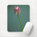 Search for spring bulbs electronics Tulip