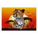 Search for cheetah posters Wild animal