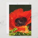 Search for macro cards Poppy