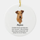 Search for irish terrier Pets