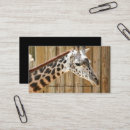 Search for zoo business cards Giraffe