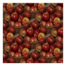 Search for an apple a day posters Apples