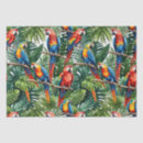 Search for parrot tissue paper Macaw