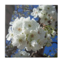Search for blossom tiles Nature