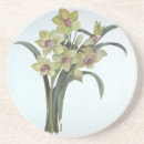 Search for bulb coasters Flowers