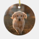 Search for pet christmas tree decorations Puppy